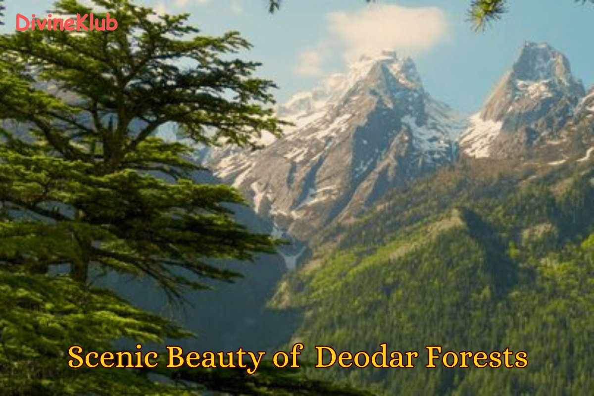 Char Dham Yatra 2026: 9 Nights / 10 Days – A Soul-Stirring Himalayan Pilgrimage - Group Getaway