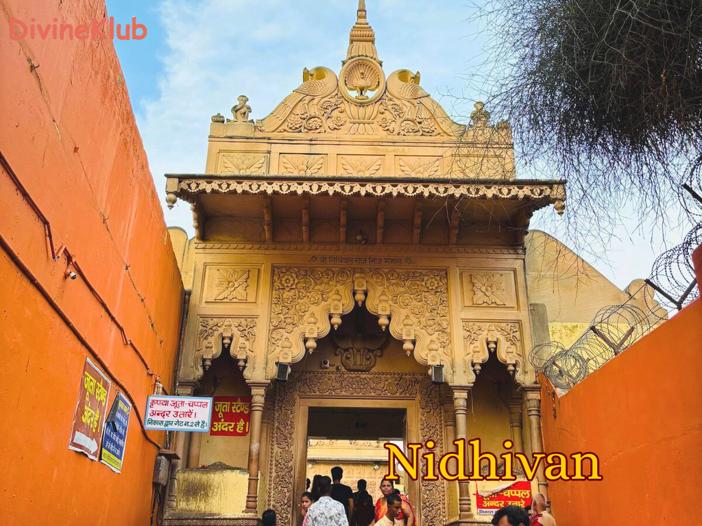 Agra Mathura Vrindavan Barsana Spiritual Darshan Tour (3N/4D) - Private Tour