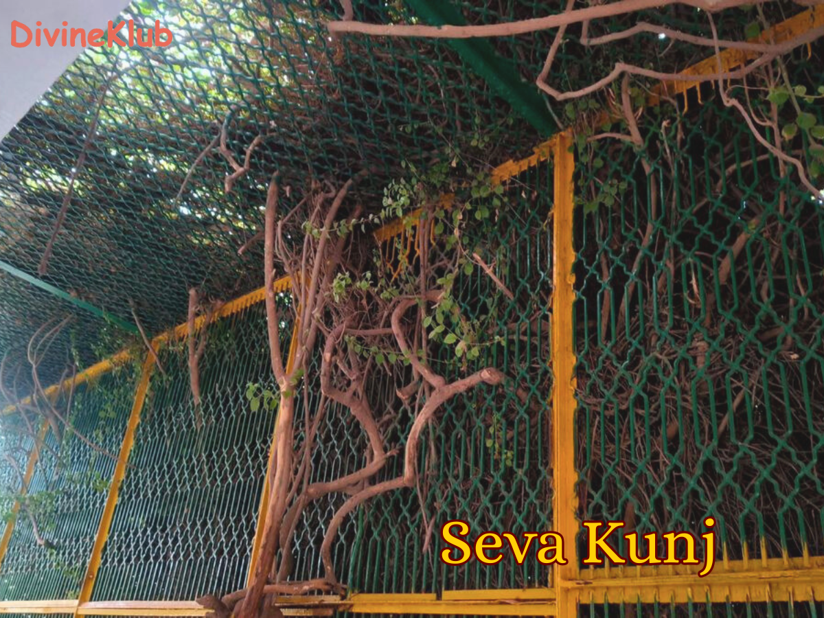 Agra Mathura Vrindavan Barsana Spiritual Darshan Tour (3N/4D) - Private Tour